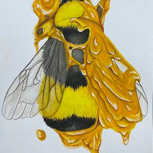The Honey’s Bee by Stephenie Anderson