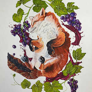 The Fox and the Grapes by Stephenie Anderson