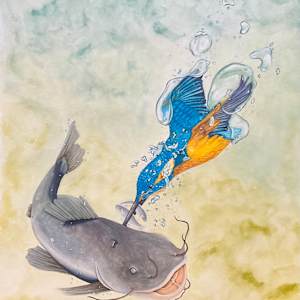The Kingfishers Folly by Stephenie Anderson
