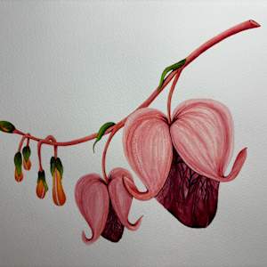 Bleeding Hearts by Stephenie Anderson