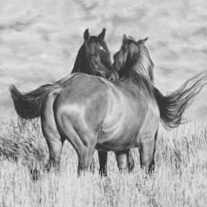 Cairdeas by Amber Scally