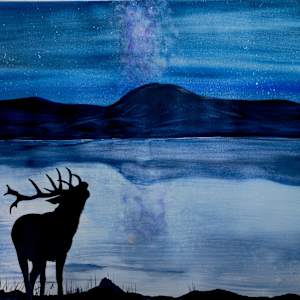 Night Song by Jeanette Perez