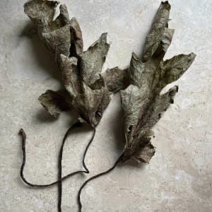 Acanthus Leaves by Ellen Gaube