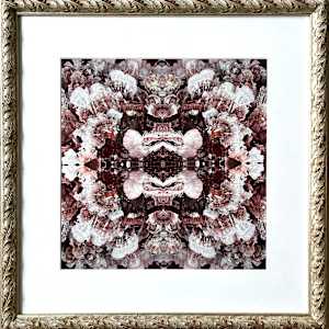 Lille Lace 3   1/10 by Ellen Gaube 