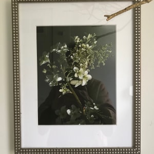 Hydrangea quercifolia 2 by Ellen Gaube 