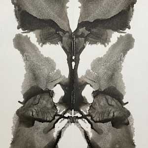 The Power to Expand by Alana Walters