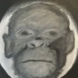 Picture of artist Space  Monkey