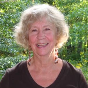 Picture of artist Shirley McConahay