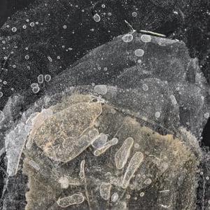 Picture of artist Lauren Ruiz