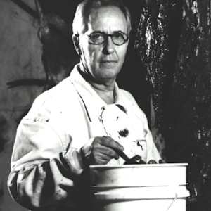 Picture of artist Manolo Valdés