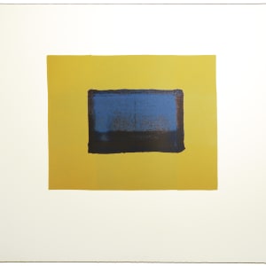 Indian View A by Howard Hodgkin