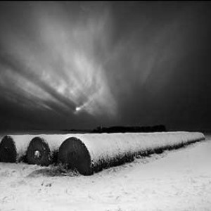 Winter Moonrise by Daniel Coburn