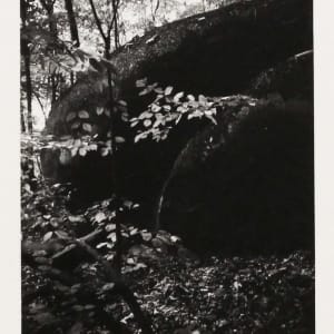 Stone by Roger Manley