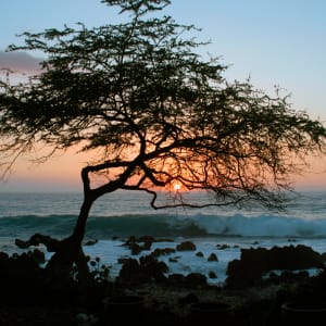 Mauna Kea Sunset by Patrick Reardon, MD