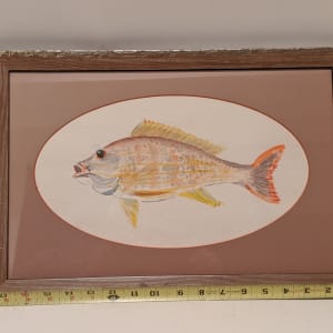 Acapulco Fish* by Theckla Constable 