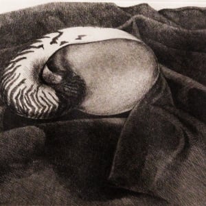 Nautilus I by Pat Hardy