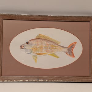 Acapulco Fish* by Theckla Constable 
