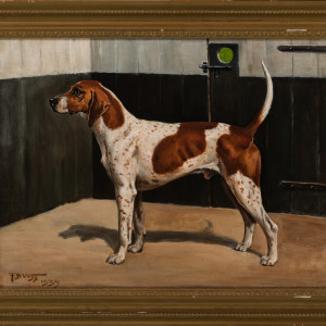 Portrait of a Hound by Franklin Brooke Voss 