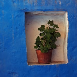 Pot on a Wall by Rosa Salinas