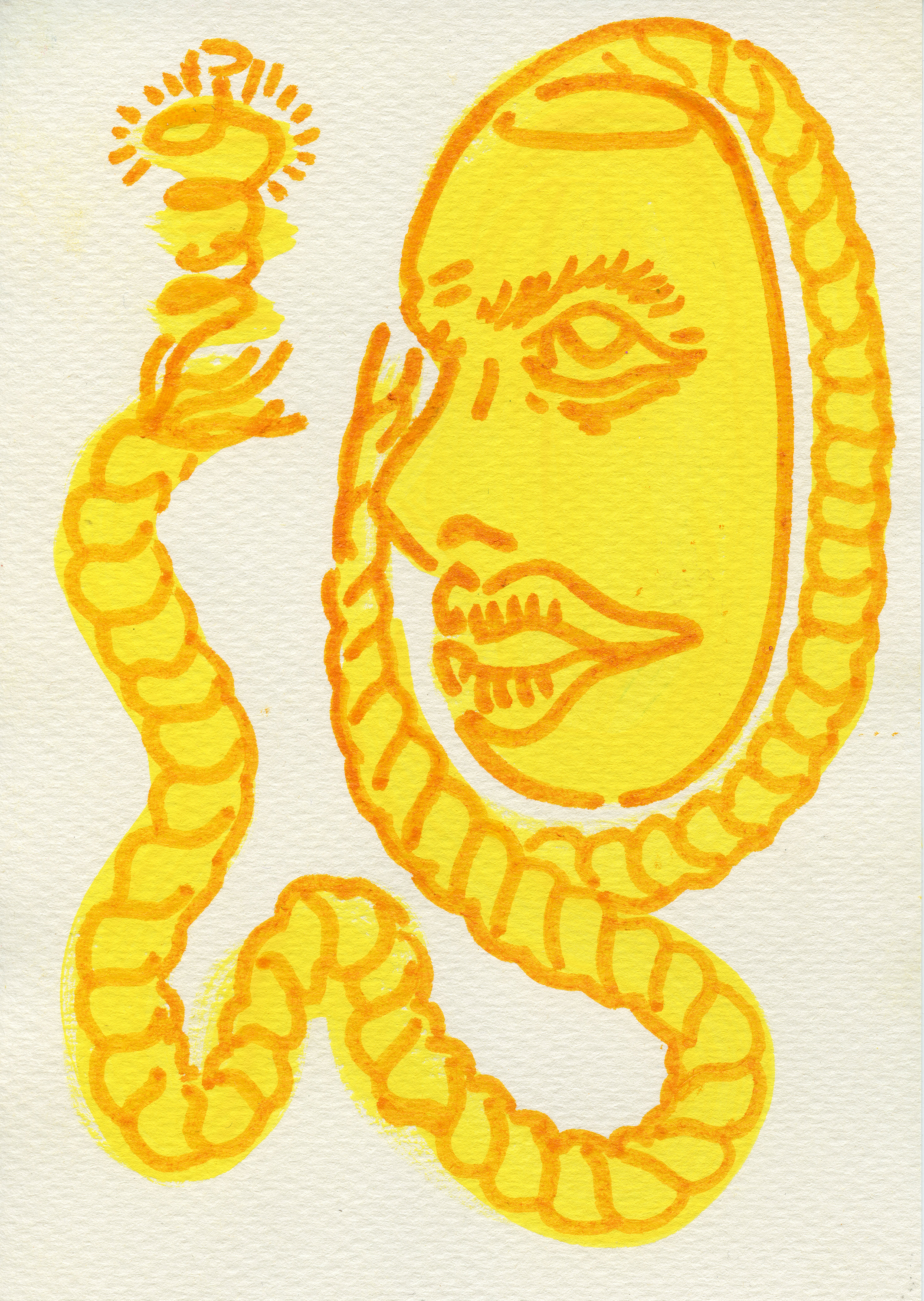 Flash Lasso