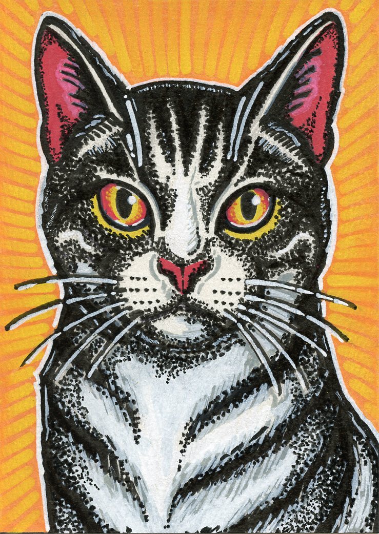 Kitty