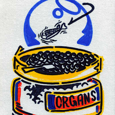 False Oracle of Organs